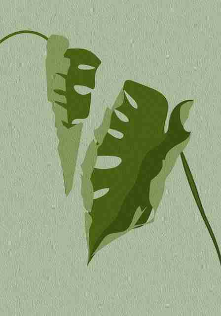 快手成人版如何快速开通付费订阅？ - 玩法揭秘，快手成人版怎么买视频